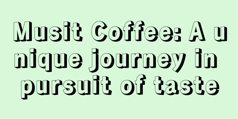 Musit Coffee: A unique journey in pursuit of taste