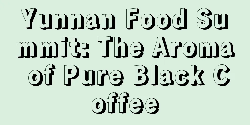 Yunnan Food Summit: The Aroma of Pure Black Coffee