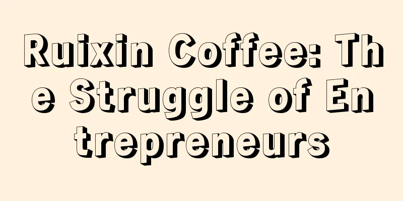 Ruixin Coffee: The Struggle of Entrepreneurs