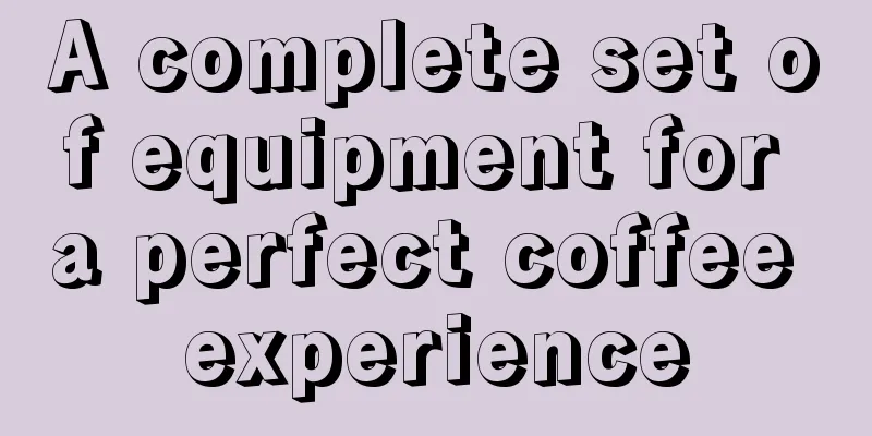 A complete set of equipment for a perfect coffee experience