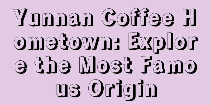 Yunnan Coffee Hometown: Explore the Most Famous Origin