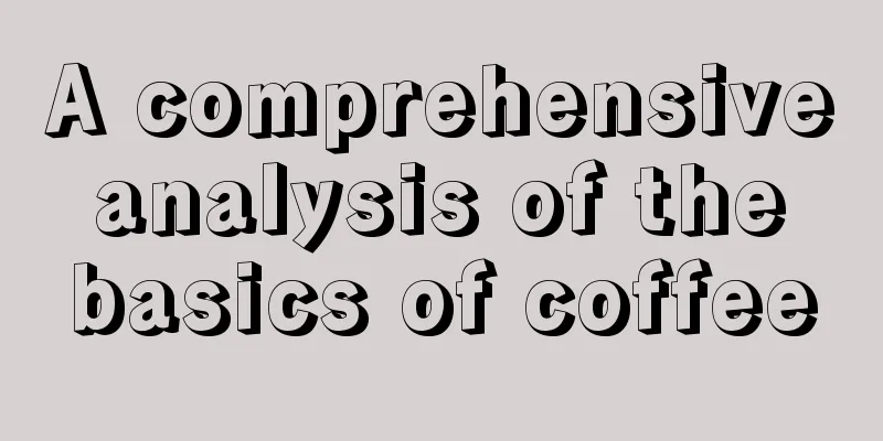 A comprehensive analysis of the basics of coffee