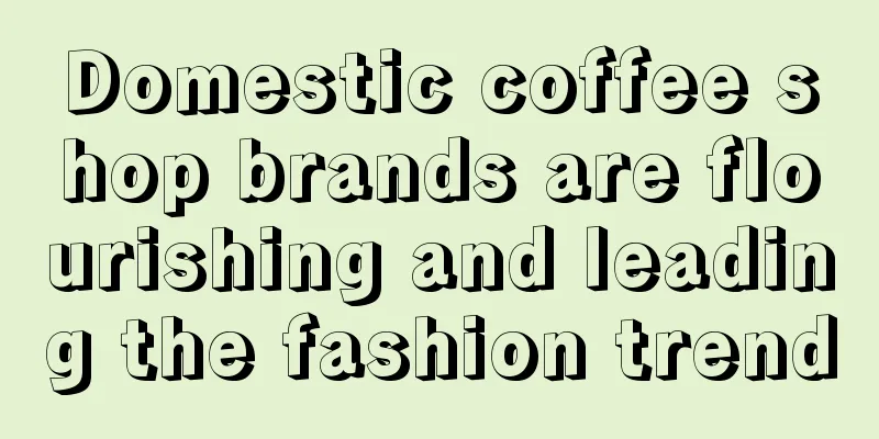 Domestic coffee shop brands are flourishing and leading the fashion trend