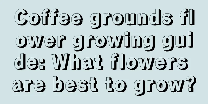 Coffee grounds flower growing guide: What flowers are best to grow?