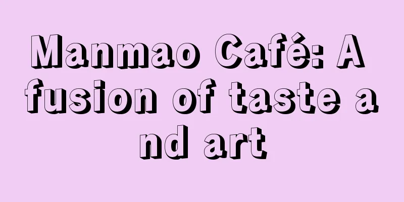 Manmao Café: A fusion of taste and art