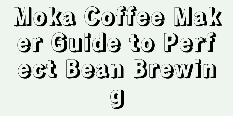 Moka Coffee Maker Guide to Perfect Bean Brewing