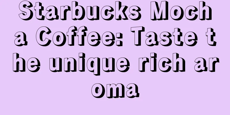 Starbucks Mocha Coffee: Taste the unique rich aroma