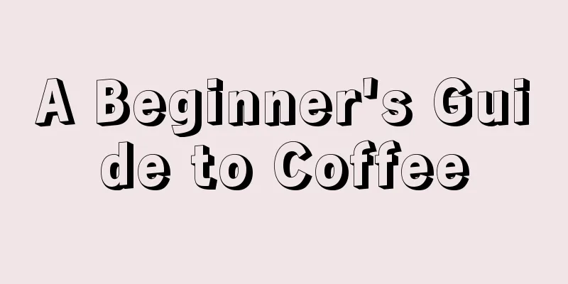 A Beginner's Guide to Coffee