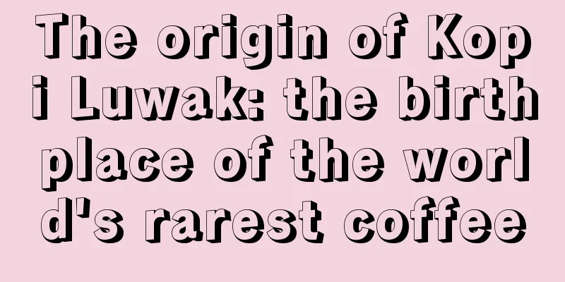 The origin of Kopi Luwak: the birthplace of the world's rarest coffee