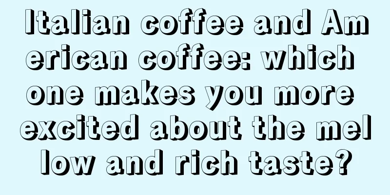 Italian coffee and American coffee: which one makes you more excited about the mellow and rich taste?