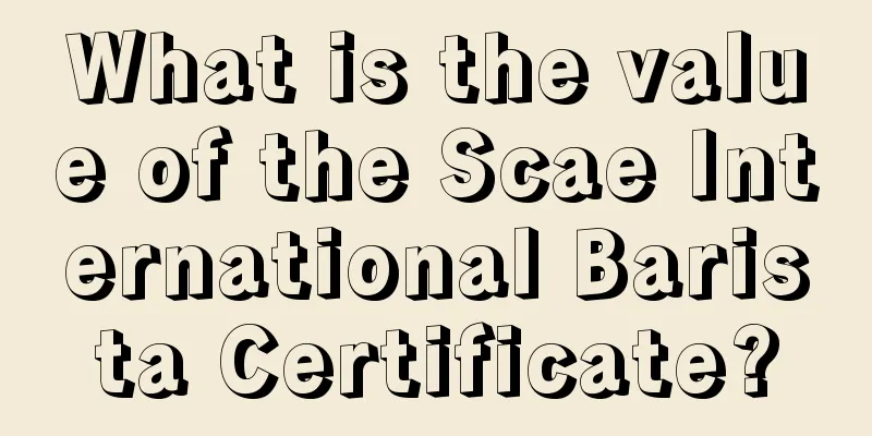 What is the value of the Scae International Barista Certificate?