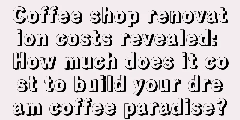 Coffee shop renovation costs revealed: How much does it cost to build your dream coffee paradise?