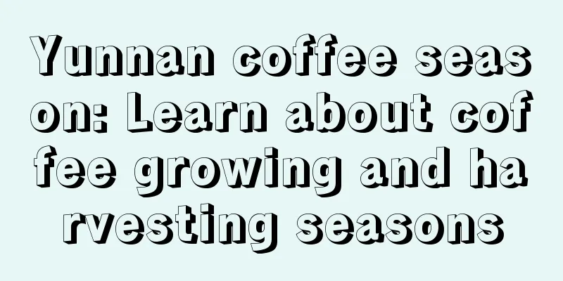 Yunnan coffee season: Learn about coffee growing and harvesting seasons