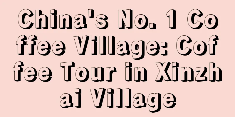 China's No. 1 Coffee Village: Coffee Tour in Xinzhai Village