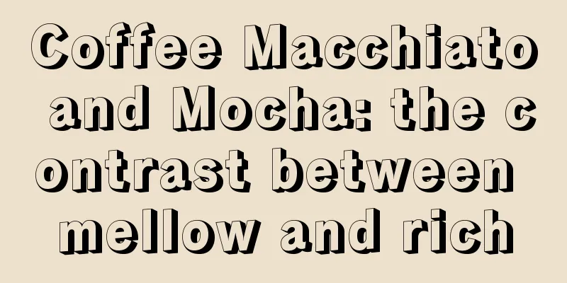 Coffee Macchiato and Mocha: the contrast between mellow and rich