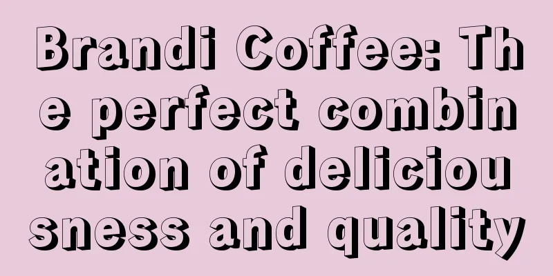 Brandi Coffee: The perfect combination of deliciousness and quality