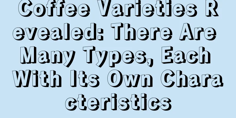 Coffee Varieties Revealed: There Are Many Types, Each With Its Own Characteristics