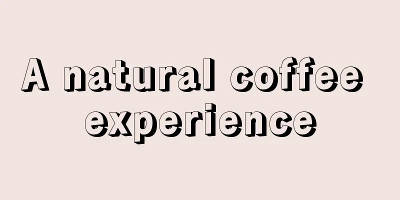 A natural coffee experience