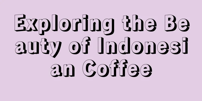 Exploring the Beauty of Indonesian Coffee