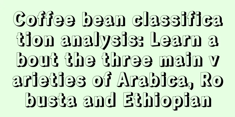 Coffee bean classification analysis: Learn about the three main varieties of Arabica, Robusta and Ethiopian