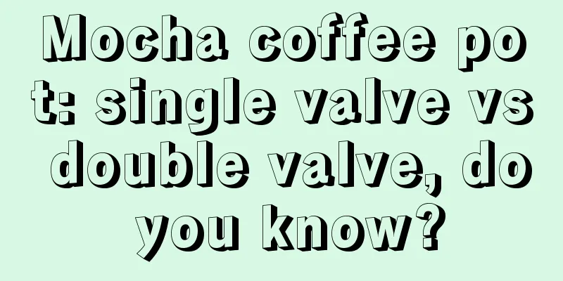 Mocha coffee pot: single valve vs double valve, do you know?