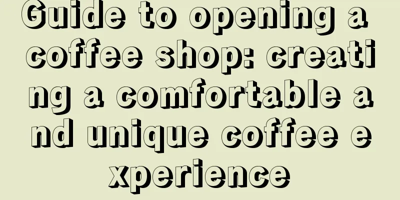 Guide to opening a coffee shop: creating a comfortable and unique coffee experience