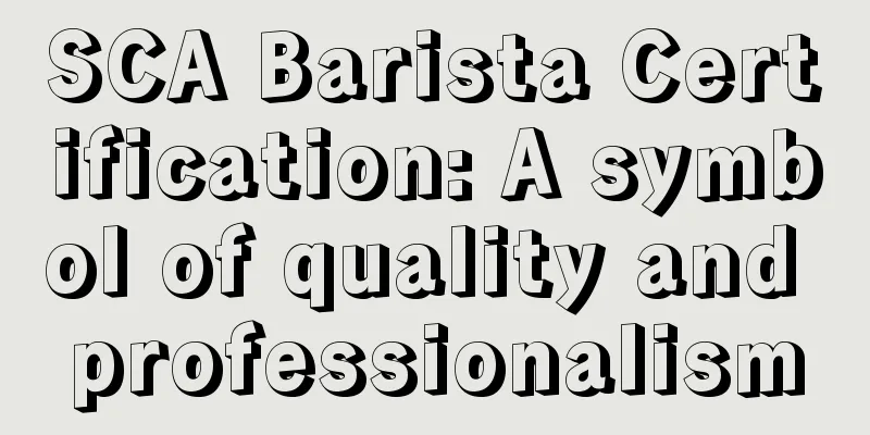 SCA Barista Certification: A symbol of quality and professionalism