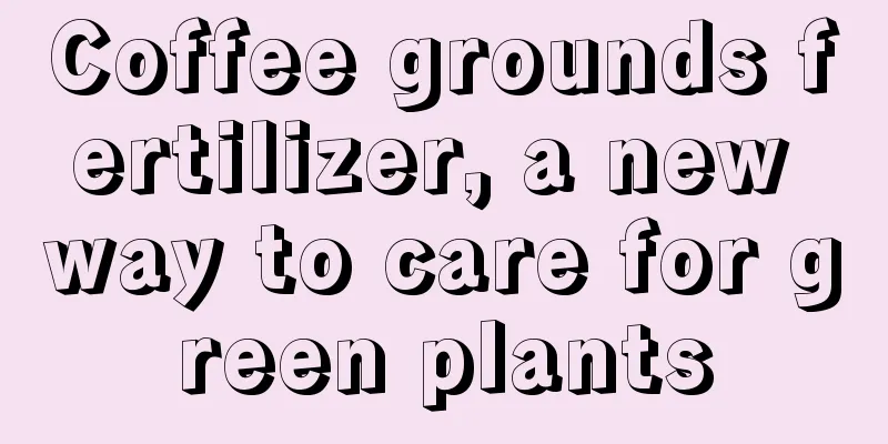 Coffee grounds fertilizer, a new way to care for green plants