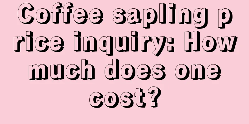 Coffee sapling price inquiry: How much does one cost?