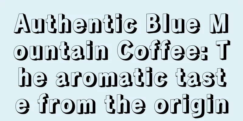 Authentic Blue Mountain Coffee: The aromatic taste from the origin