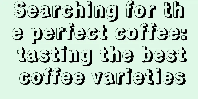 Searching for the perfect coffee: tasting the best coffee varieties