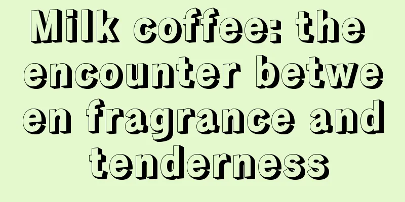 Milk coffee: the encounter between fragrance and tenderness