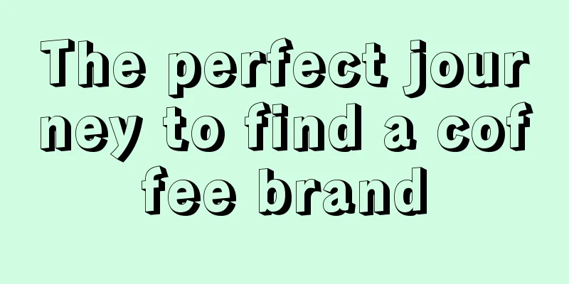 The perfect journey to find a coffee brand