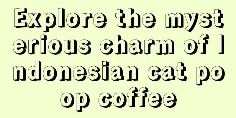 Explore the mysterious charm of Indonesian cat poop coffee