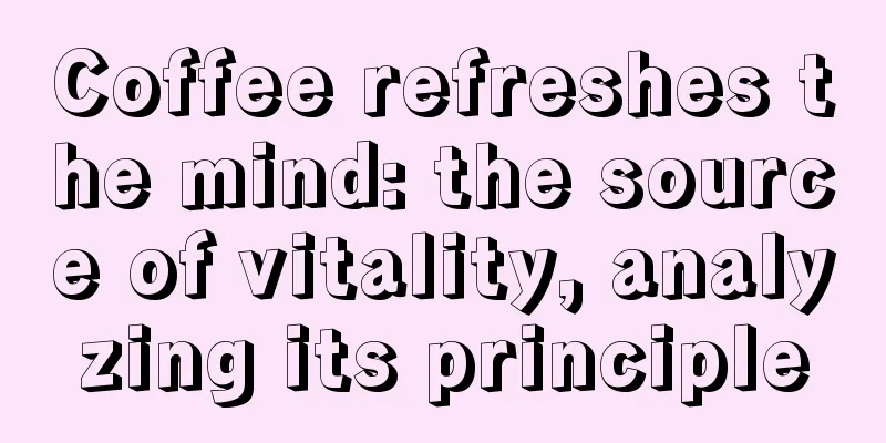 Coffee refreshes the mind: the source of vitality, analyzing its principle