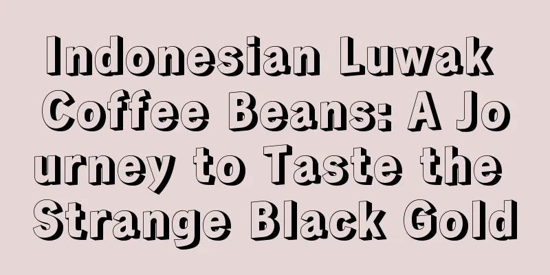 Indonesian Luwak Coffee Beans: A Journey to Taste the Strange Black Gold