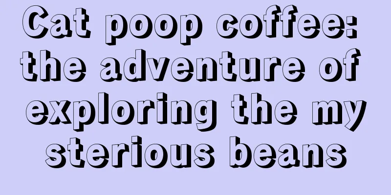 Cat poop coffee: the adventure of exploring the mysterious beans