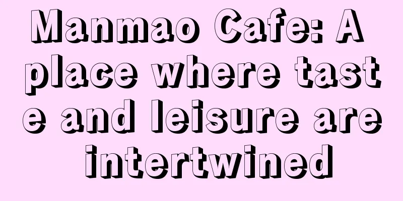 Manmao Cafe: A place where taste and leisure are intertwined