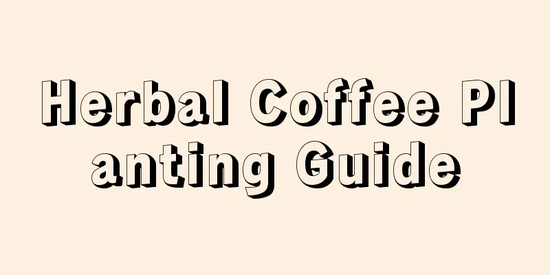 Herbal Coffee Planting Guide