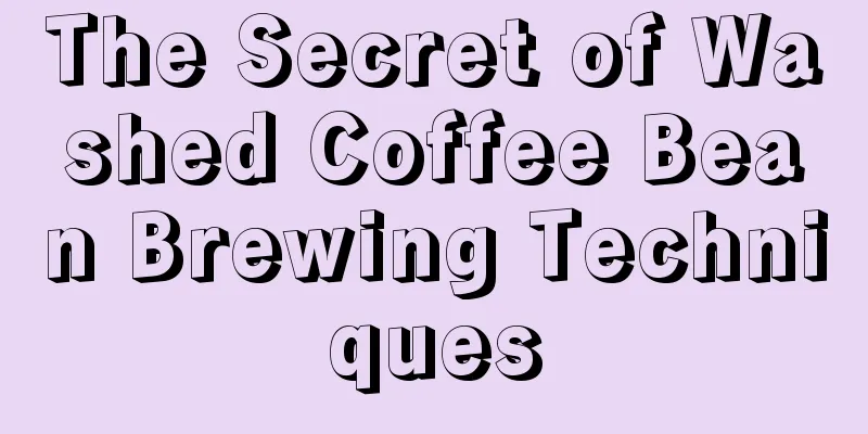 The Secret of Washed Coffee Bean Brewing Techniques