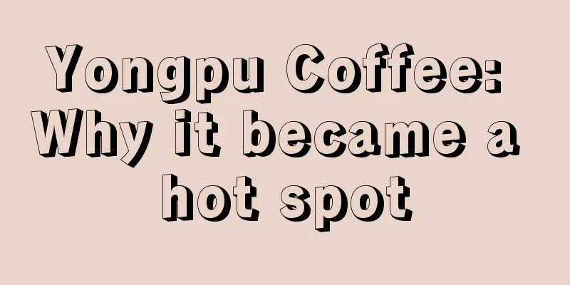 Yongpu Coffee: Why it became a hot spot