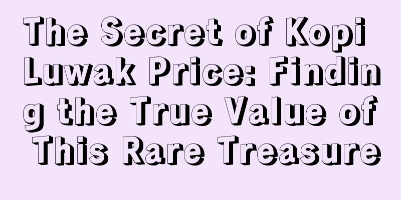 The Secret of Kopi Luwak Price: Finding the True Value of This Rare Treasure