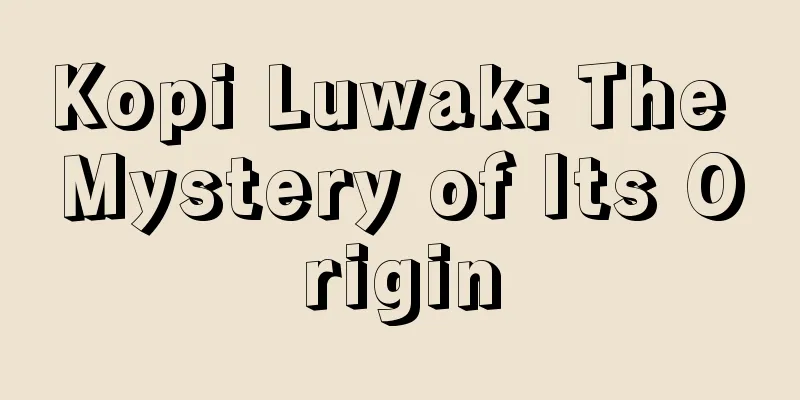 Kopi Luwak: The Mystery of Its Origin