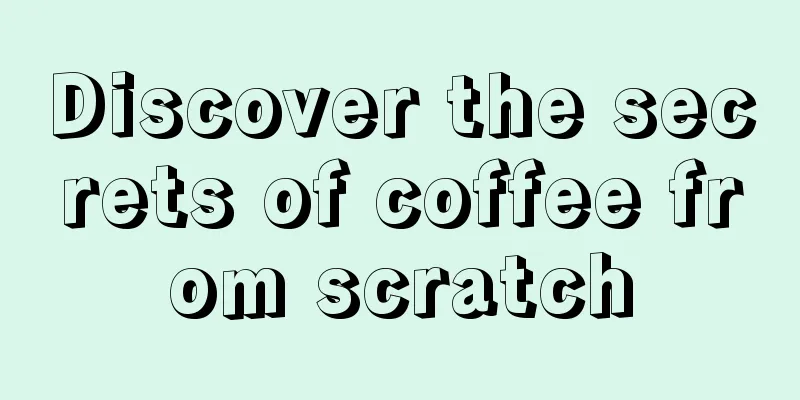 Discover the secrets of coffee from scratch