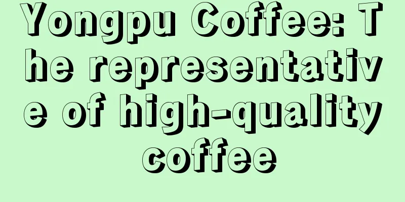 Yongpu Coffee: The representative of high-quality coffee