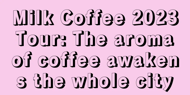 Milk Coffee 2023 Tour: The aroma of coffee awakens the whole city