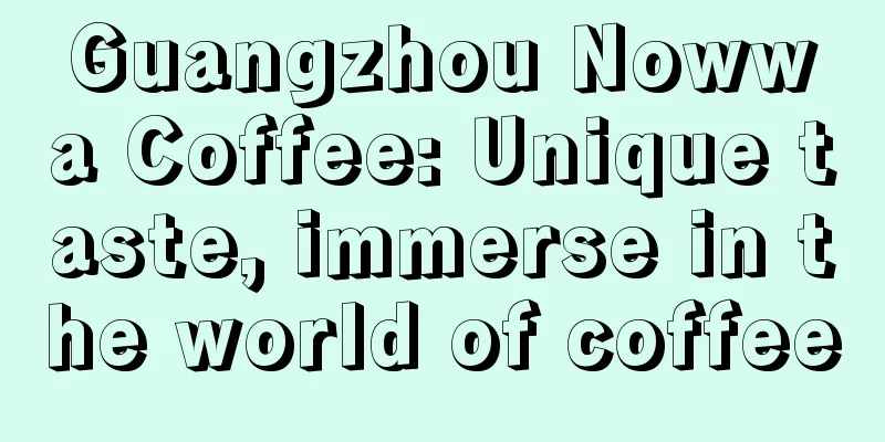 Guangzhou Nowwa Coffee: Unique taste, immerse in the world of coffee