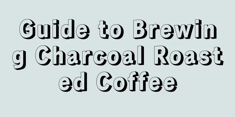 Guide to Brewing Charcoal Roasted Coffee