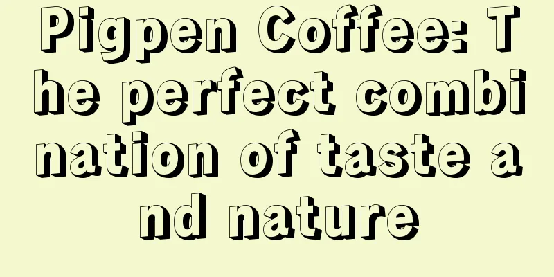 Pigpen Coffee: The perfect combination of taste and nature