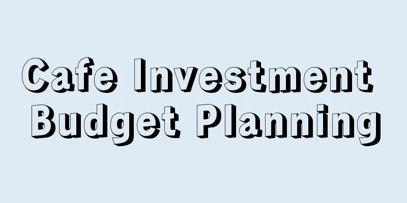 Cafe Investment Budget Planning